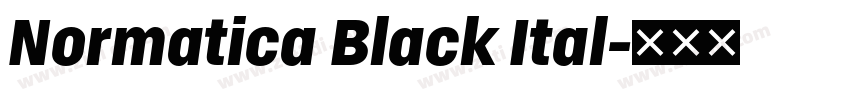 Normatica Black Ital字体转换